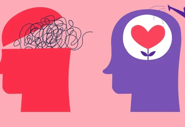 Preparati za potenciju su budućnost fizičkog i psihičkog zdravlja 5 preparati za potenciju